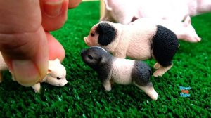 Schleich Farm World Playset Collection and Fun Farm Animals Toys For Kids