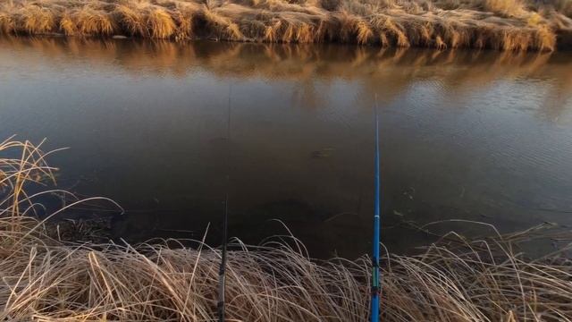 Копченые утки.Закрытие сезона открытой воды.Как правильно насаживать червя:).Рыбалка в Сибири 2022. смотреть онлайн
