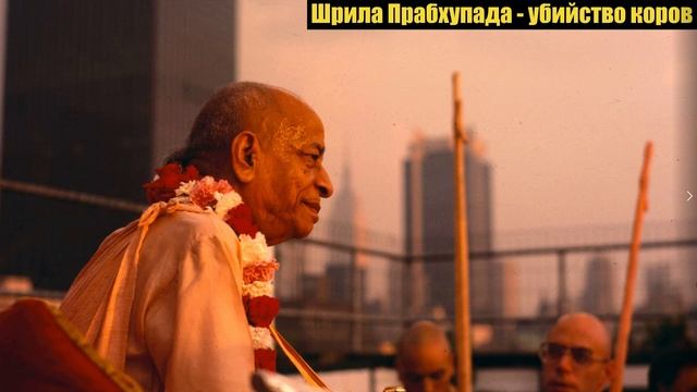 Шрила Прабхупада. Убийство коров.