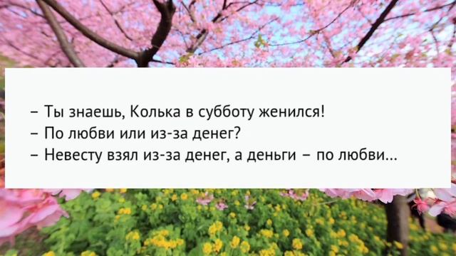 АНЕКДОТНАЯ СОЛЯНКА #2 ? Отборные анекдоты для хорошего настроения!