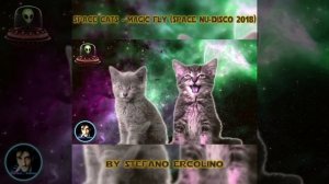 SPACE CATS - MAGIC FLY (Space Nu-Disco 2018)