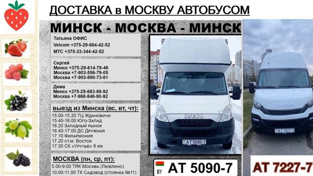Рассылка посылок,  сезон 2023 года