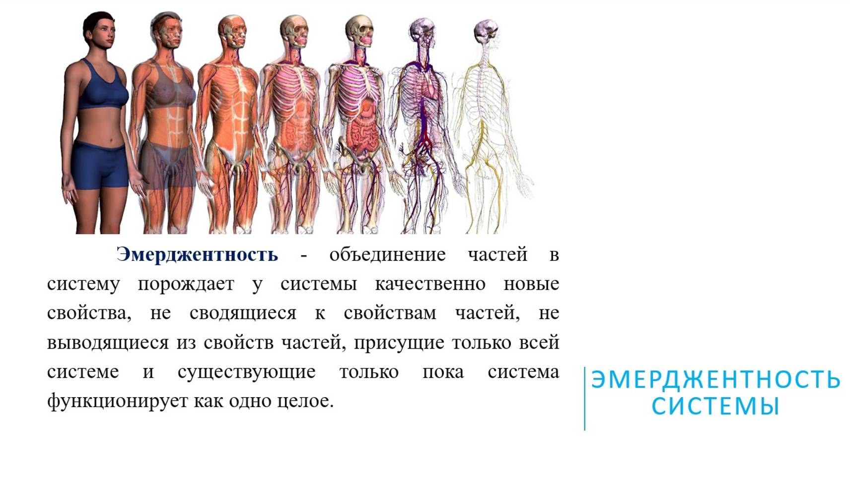 Архитектура общества. Часть 4. Эмерджентность среды.