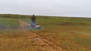 От Вижаса до Омы 30+30 км летом  на снегоходе буран.НАО