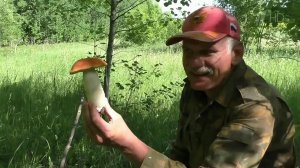 Синоптики рассказали, каким в столичном регионе будет лето