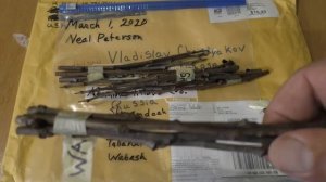 Азимина черенки от автора Н