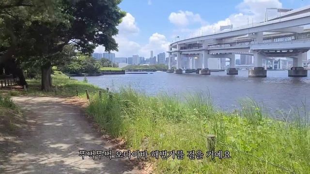 일본 도쿄 브이로그 l 마트 장보고 강아지 간식 쇼핑, 멍 김밥&닭고기 머핀 만들고 오다이바 나들이 다녀온 도쿄 일상 브이로그