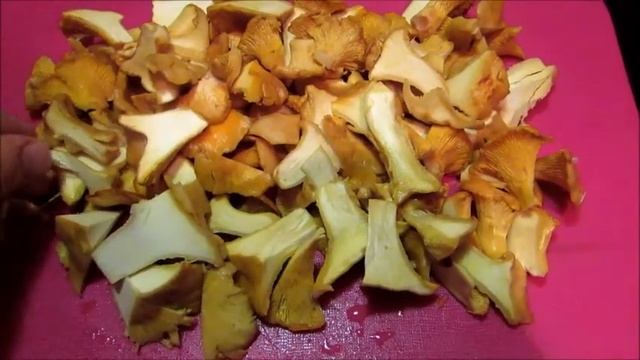Как приготовить грибы? Как пожарить лисички? / Жареные лисички на сковороде с луком