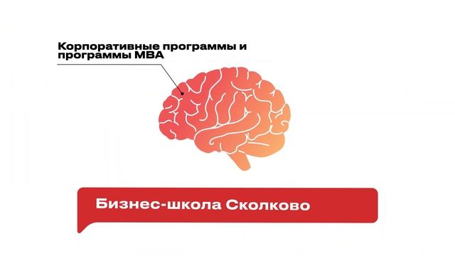 Как выбрать онлайн-школу для руководителя?