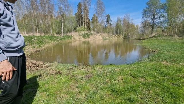 Кувшинки с озера,для пруда своими руками! смотреть онлайн