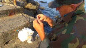 Анапа ноябрь,2019г.  Рыбалка на Высоком берегу. Поймали Саргана.