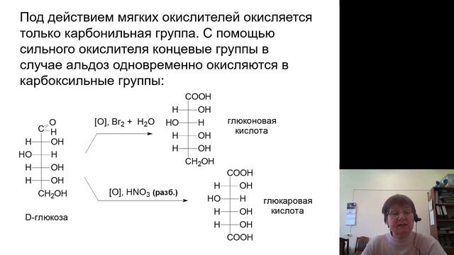 Химия 8.Углеводы смотреть онлайн