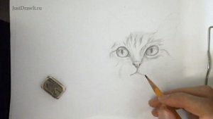 Как нарисовать Кошку поэтапно карандашом? Простое объяснение