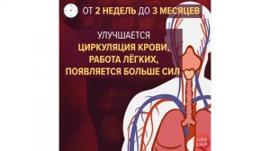 Что происходит с  организмом когда вы  перестаете  курить?