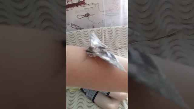 Нашла большую бабочку на улице (немного на моль похожа) смотреть онлайн