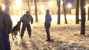 Проверка собак  на защиту хозяина В РЕАЛЬНЫХ УСЛОВИЯХ!