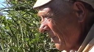 Рыбацкие истории