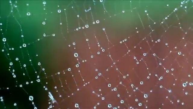 Загуляла осень Муз Р Неврединова,ст В Васильева спела Г Погорельская смотреть онлайн