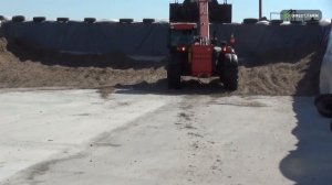 Заготовка свекловичного жома на зиму для кормления молочных коров