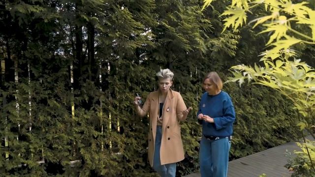Японский сад на участке. Ландшафтный дизайн.