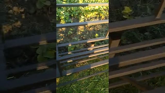 Мангал с крышей но пока что только каркас