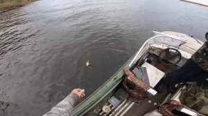 Окунь сошел с ума! О таком клеве можно только мечтать! Рыбалка в отвес!