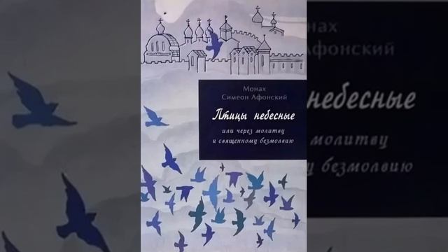 Птицы небесные или через молитвы к священному безмолвию монах Симеон Афонский 47 смотреть онлайн