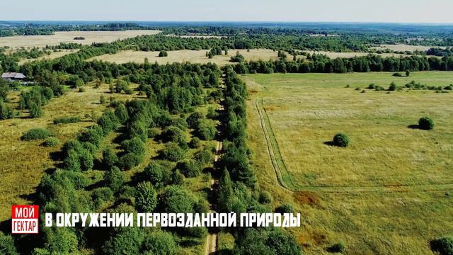 Поселок Синергия-Заря (купить гектар в проекте "Мой гектар")