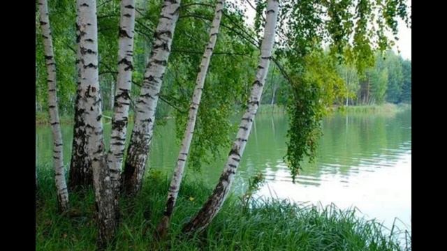 МАТУШКА 🇷🇺 Земля смотреть онлайн