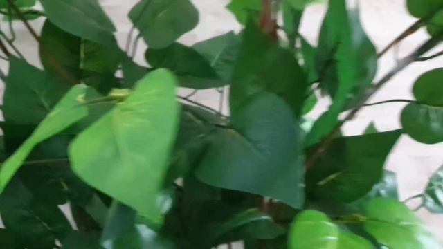 Искусственное дерево своими руками. Покупки в Фикс Прайсе. смотреть онлайн