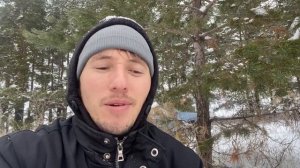 Сбор шишек. Для чего собирают шишки?