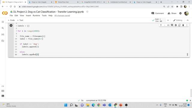 DL Project 3. Dog vs Cat Classification using Transfer Learning | Deep Learning Projects in Python