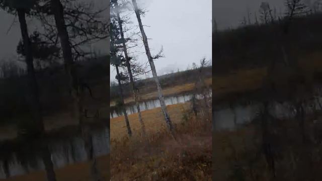 Ботуобия смотреть онлайн