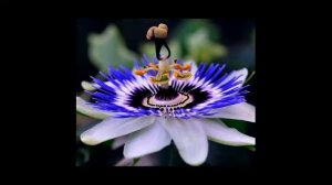 Стихи на татарском языке. Поздравления от автора для юбилеев. Татарча котлау шигырлэр