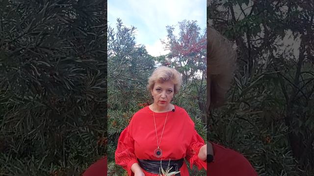Наследники первой очереди. Кто они?