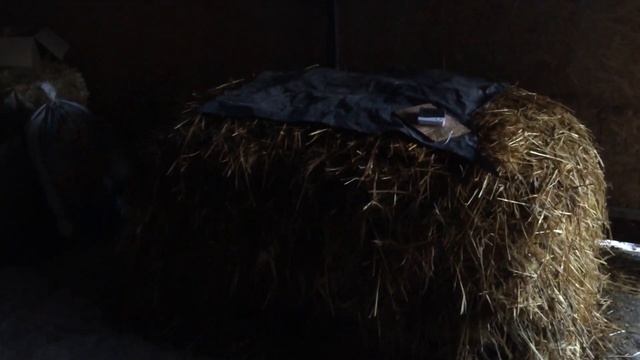 Изготовление компоста для шампиньонов. Часть - 1 смотреть онлайн