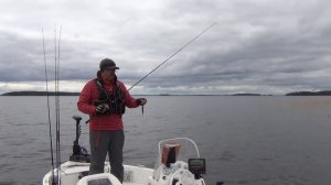 Воблер на крупную щуку - Megabass Kanata