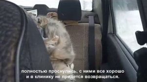 Поездка три в одном!