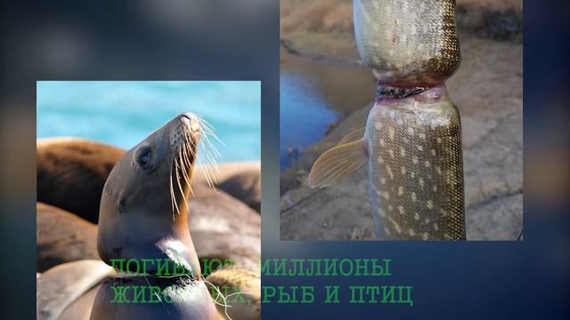 ОСТРОВА МУСОРА смотреть онлайн