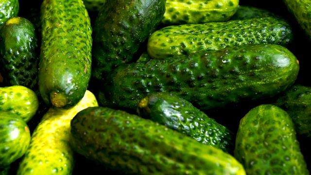 2 капли и огурцов нарастает тонна