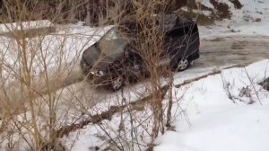 VOLKSWAGEN MULTIVAN 4X4