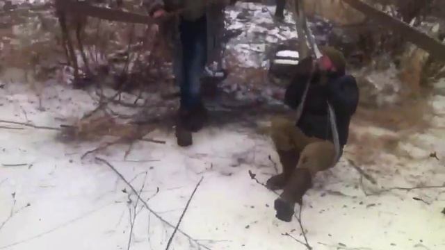 Иерархия доминирования