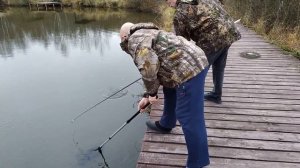 Ловля форели на платном водоеме в рыбном (МО)