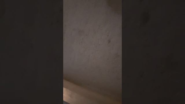 Как проверить качество штукатурки... Наглядно. смотреть онлайн