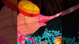 Dubai Garden Glow | Dubai Glow | Largest glow in the dark garden