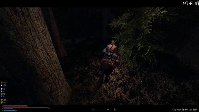 Tsun Permadeath - EP 7 - Am I Dead? - Skyrim Requiem 3BFTweaks смотреть онлайн