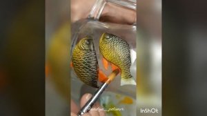 Карась из полимерной глины. Полимерная глина.