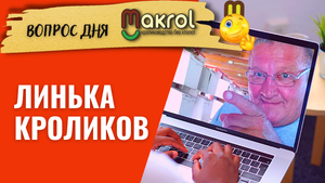 ?Возрастная линька кроликов. В какие сроки кролики линяют #Макляк #Макрол