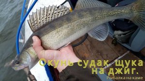 Судак Щука на джиг с лодки. Кама.
