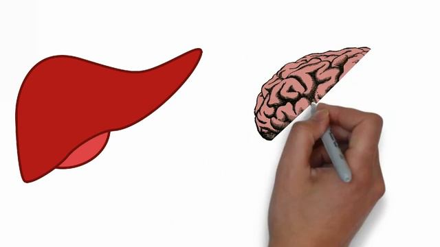 Лецитин. Краткая справка о супер-продукте. Лецитин для чего нужен? смотреть онлайн